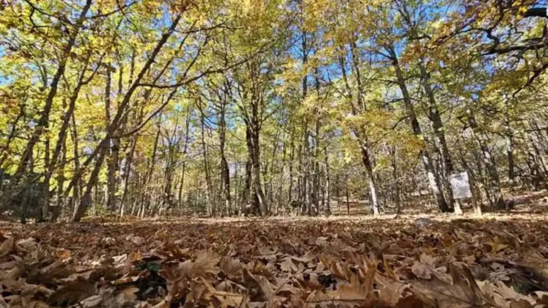Dünyada Sadece Isparta'da Var! İzinsiz Girenlere 557 Bin TL Ceza 8